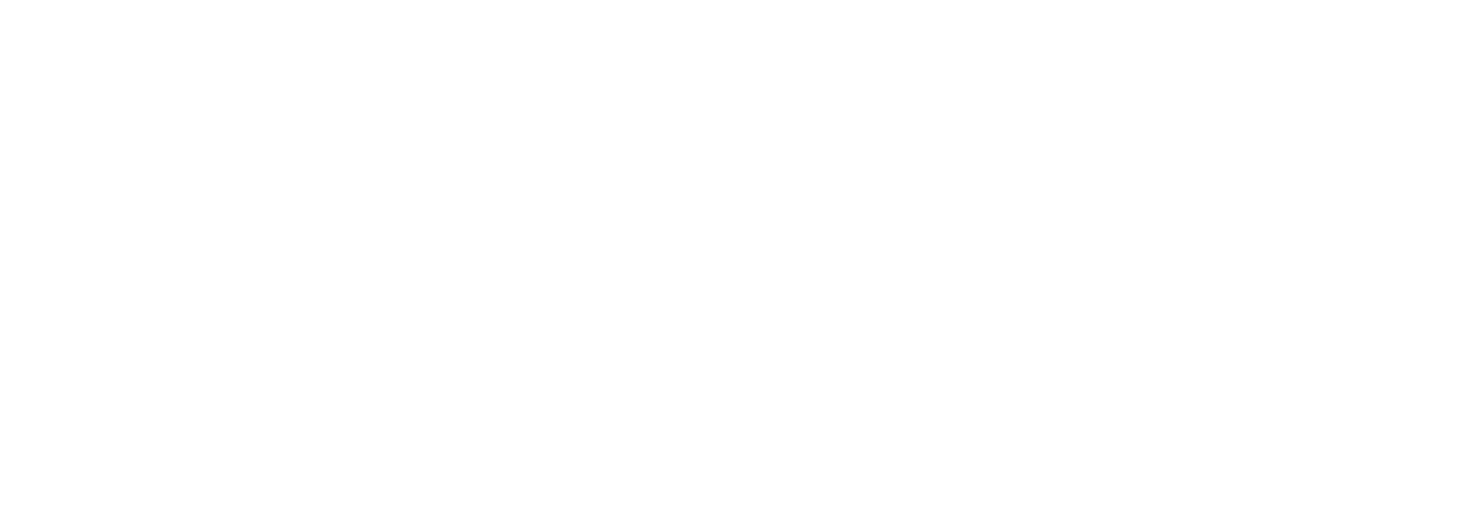 RinTin Logo