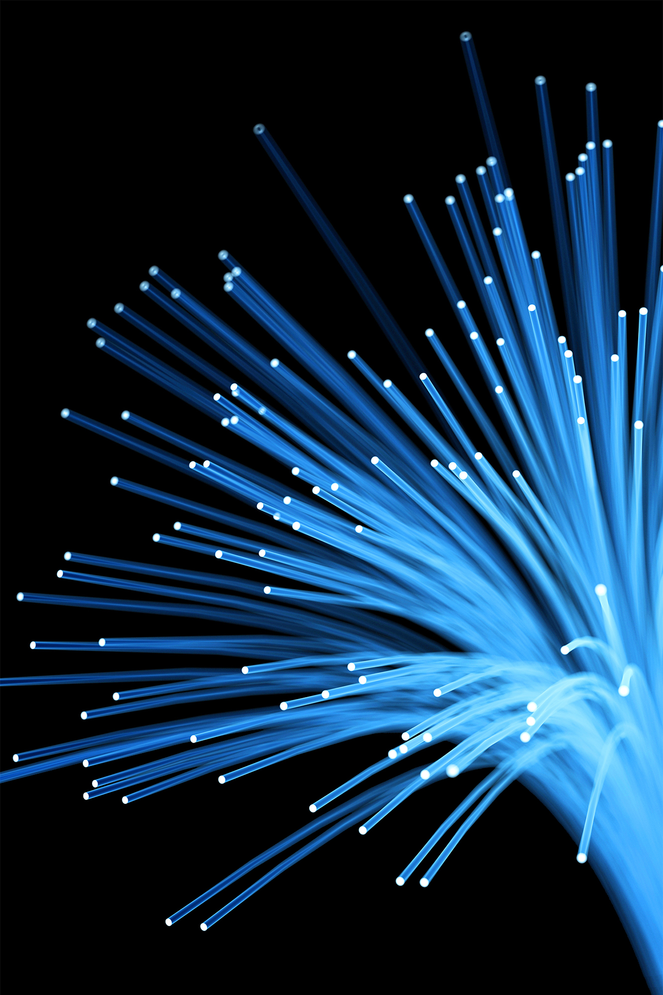 Photograph of fiber optic cable with light shining through